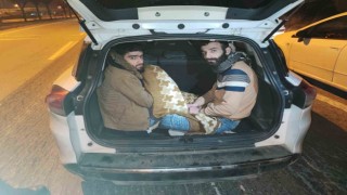 Bagajdan kaçak göçmenler çıktı