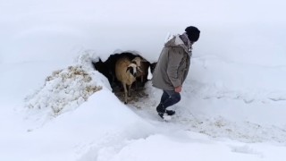 Bahçesarayda kar etkili oluyor