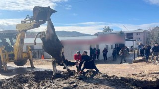 Banka müdürünün tayini çıktı diye tosun kestiler