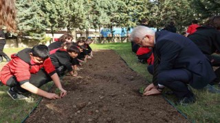 Başkan Erdem öğrencilerle çilek ve marul fidesi dikti