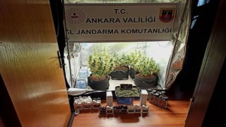 Başkentte uyuşturucu operasyonu: 12 gözaltı