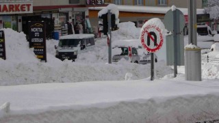 Bitliste kar 315 yerleşim yolunu ulaşıma kapattı