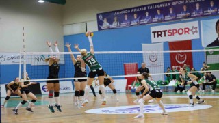 Bodrumun İncileri evinde kükredi