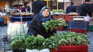Bu otlar sadece Ege pazarında bulunuyor