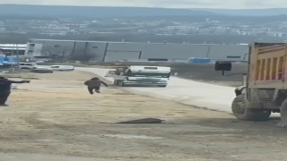Bursada freni boşalan kamyon böyle harekete geçti, faciadan dönüldü