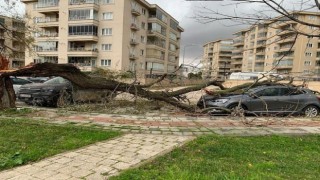 Bursada lodos hayatı felç etti: Ağaçları devirdi, çöp konteynerlerini sürükledi