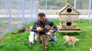 Büyükşehir 2023 yılında 321 sokak hayvanını sahiplendirdi