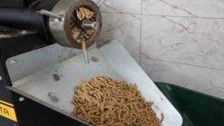 Büyükşehir can dostlar için mama üretiyor