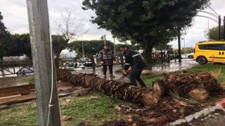 Büyükşehir fırtına için seferber oldu