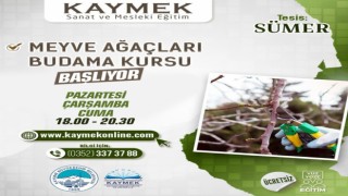 Büyükşehirden Meyve ağaçları budama kursu