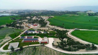 Büyükşehirin şefkat yuvası 2023te 28 bin 665 can dostu ağırladı