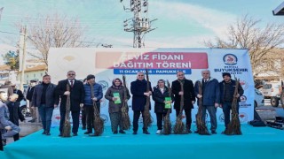 Cevizin merkezi Denizli olacak