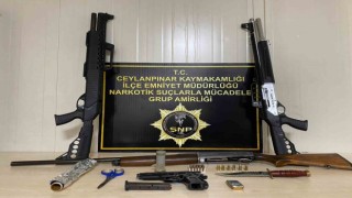 Ceylanpınarda suç örgütüne operasyon: 10 tutuklama