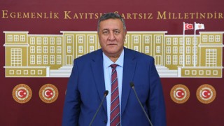 CHP'li Gürer, Hayvancılıkta Yaşanan Sorunların Araştırılmasını İstedi