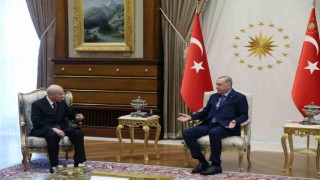Cumhurbaşkanı Erdoğan, MHP Genel Başkanı Bahçeli ile görüştü