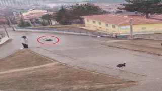 Dans değil, vatandaşların buzla imtihanı