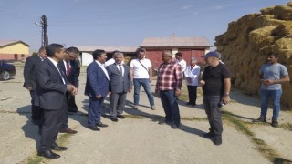 DAPta proje sayısında Erzurum, harcama rakamında Malatya şampiyon