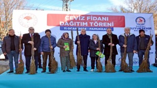 Denizli, Türkiyenin ceviz üretim merkezi olma yolunda ilerliyor