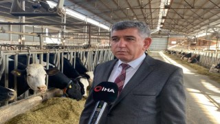 Depremde telef olan hayvanların yerine yenisi verildi