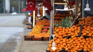 Derepazarı mandalinasında hasat iyi, satışlar kötü