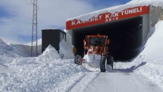 Dicle Nehrinin çatısını oluşturan Bahçesaray ve Çatak çaylarındaki su seviyesi düştü