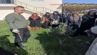 Didimde 23 çiftçi sertifikasına kavuştu