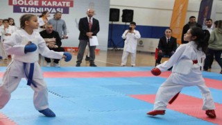 Diyarbakırda 311 çocuk karate turnuvasında mücadele etti
