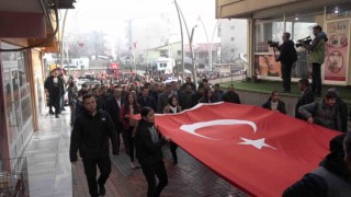 Diyarbakırda Kahrolsun PKK sloganlarıyla şehitlere saygı yürüyüşü düzenlendi