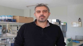 Uzmanından balon balığı uyarısı: Hayatınızla kumar oynamayın