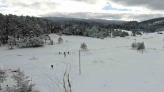 Doğal güzellikleri ile dikkat mest eden yaylalar kar festivaline ev sahipliği yapacak