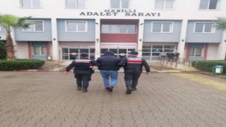 Dolandırıcılık suçundan aranan şahıs jandarmadan kaçamadı