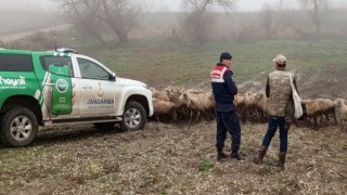Edirnede çobanlara hayvanların hastalıktan korunması için bilgilendirme yapıldı