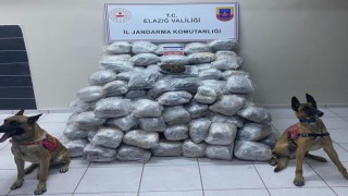 Elazığda 138 kilo skunk ele geçirildi