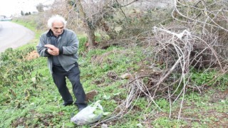 Emeklinin doğa tutkusu: Yenilebilen otları toplayarak sağlıklı yaşamı destekliyor