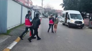 Erdekte vize dolandırıcılığı operasyonu: Şüpheliler yakalandı