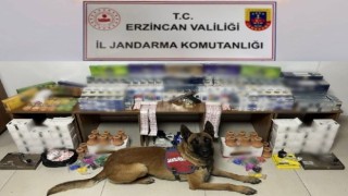 Erzincanda jandarma ekiplerinden kaçak sigara operasyonu