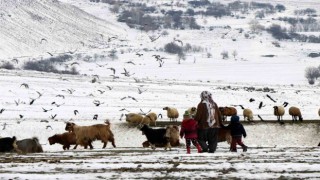Erzincanda “Köyümde Yaşamak İçin Bir Sürü Nedenim Var projesi ile 179 üretici hayvan varlığını artırdı