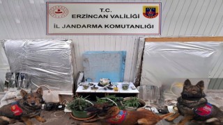 Erzincanda uyuşturucu operasyonu: 3 kişi gözaltına alındı