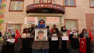 Evlat mücadelesindeki aile sayısı 374 oldu