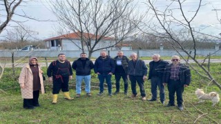 Fındık üreticilerine ‘doğru budama eğitimi