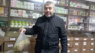 Gedizde kış aylarında ıhlamura rağbet arttı