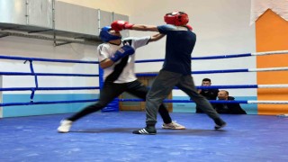 Gençler ferdi boks il seçmeleri tamamlandı