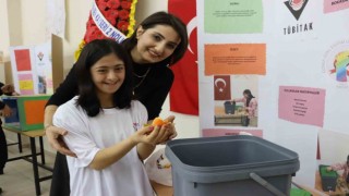 Gıda atıklarından gübre