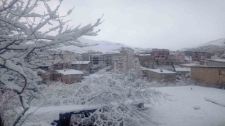 Hakkari kar hapsinde: Okullar tatil edildi, 284 yerleşim yerinin yolu kapandı