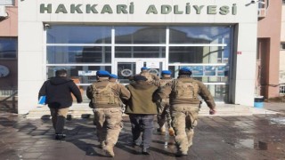 Hakkaride PKK/KCK operasyonu: 2 gözaltı
