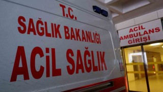 Hastaların yüzde 10una Influenza A tanısı konuldu