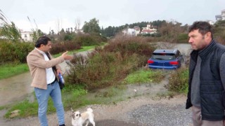 Havlayan köpeği dikkatini dağıtınca şarampole uçarak suya daldı