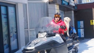 Hera ve Haydut Palandökenin maskotu oldu