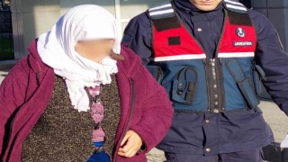 Hindi hırsızlığı şüphelisi serbest bırakıldı