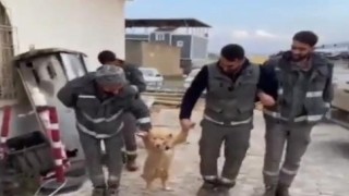 İşçilerin mola esnasında köpekle halayı güldürdü